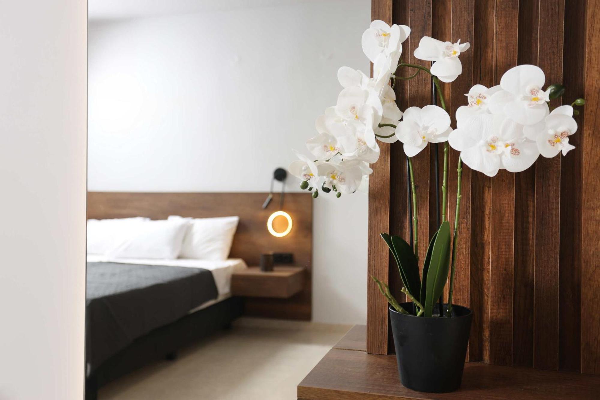 Apartment Danae Comfort Living *